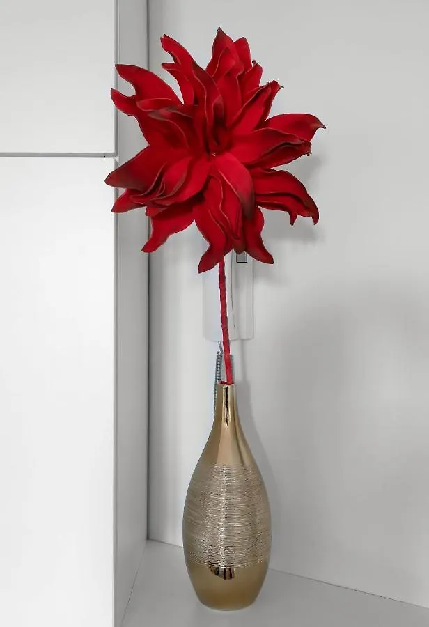 Appartement Design La Petite Europe - Ideal Curistes Vichy